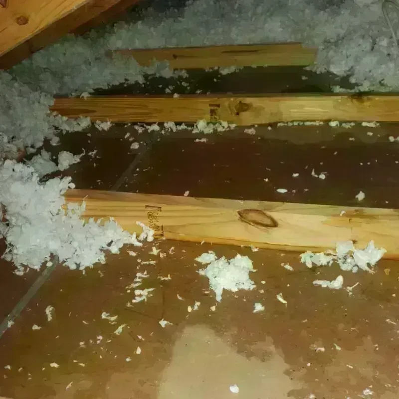 Attic Water Damage in Austintown, OH